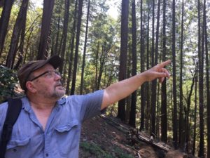 Former U.S. Forest Service employee and firefighter Rich Fairbanks points out the many trees that survived the Miller Complex Fire in 2017. CREDIT: CASSANDRA PROFITA