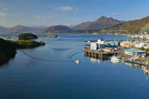 But the cod decline could be a disaster for Kodiak. With boats traveling more than 1,000 miles away to find fish, crews aren't stocking up at stores in town, and boats aren't paying the local fish tax. CREDIT: KEVIN SMITH