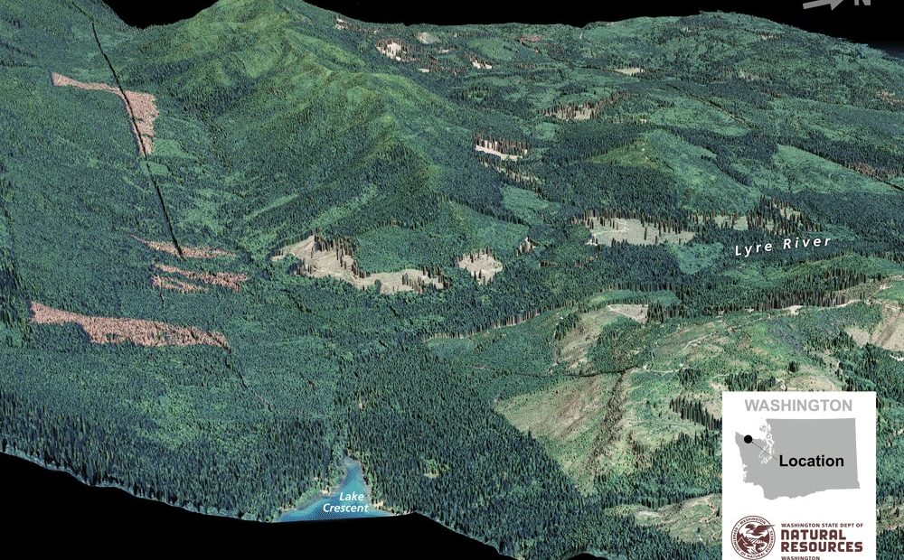 Washington's Sadie Creek Fault is a strand of the Lake Creek-Boundary Creek Fault zone. CREDIT: DAN COE/WASHINGTON DNR