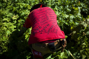 Randy Ortiz wears a shirt with the names of missing and murdered indigenous women as he searches for Ashley HeavyRunner Loring in the mountains of the Blackfeet Indian Reservation in Babb, Mont., Thursday July 12, 2018. On some reservations, Native American women are murdered at a rate more than 10 times the national average, and a third of all Native American women will be raped at some point, according to the Justice Department. CREDIT: DAVID GOLDMAN/AP