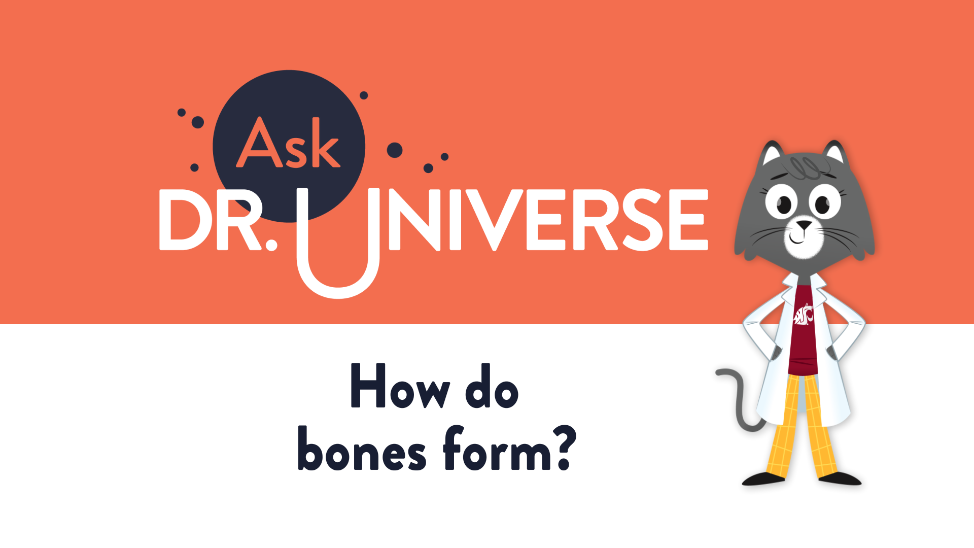 How Do Bones Form - Full Screen