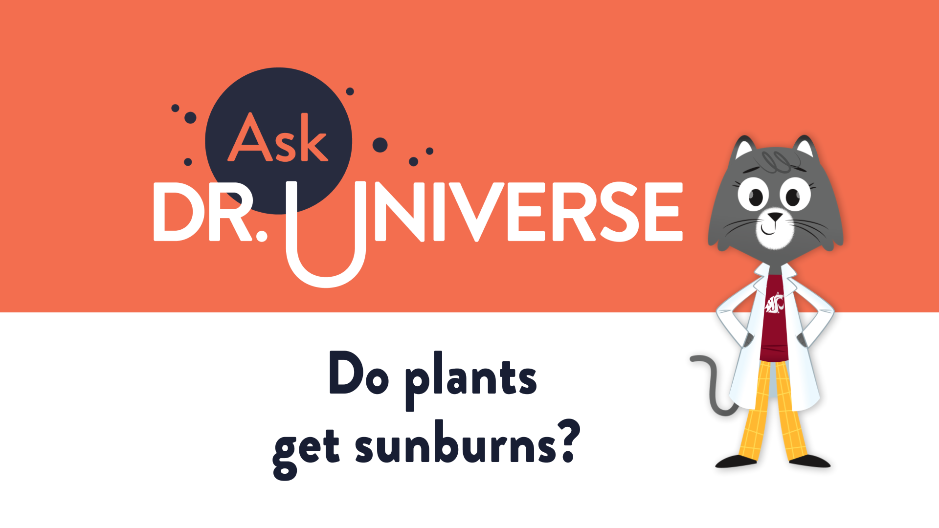 Do plants get sunburns? - Full Screen