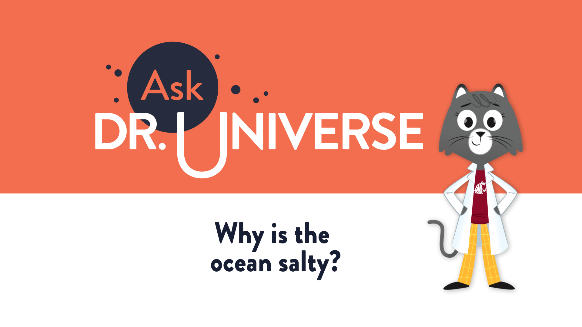 Why is the ocean salty? - Full Screen