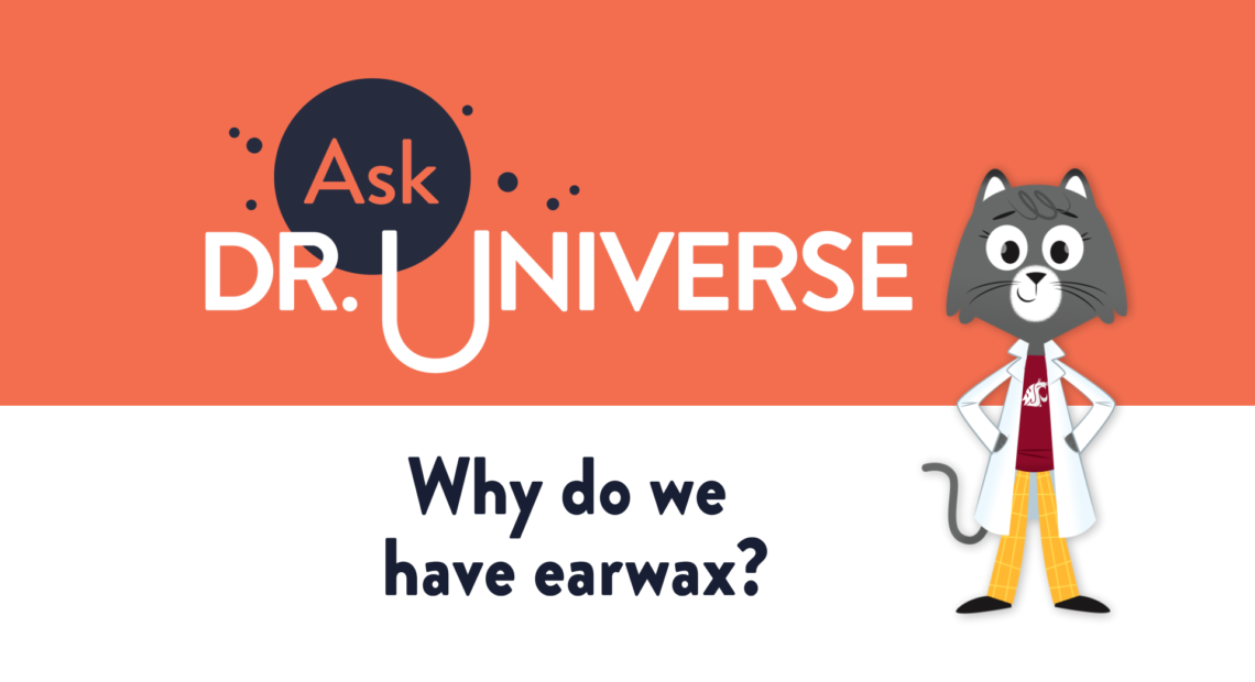 Why do we have earwax? - Full Screen