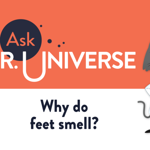 Why do feet smell? - Full Screen