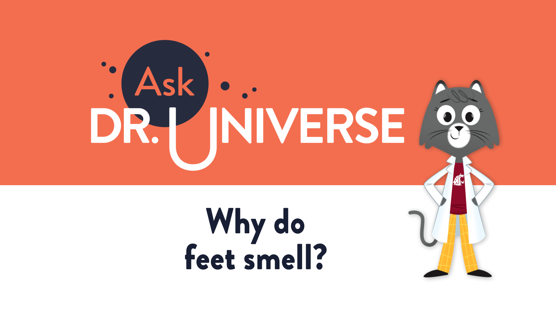 Why do feet smell? - Full Screen