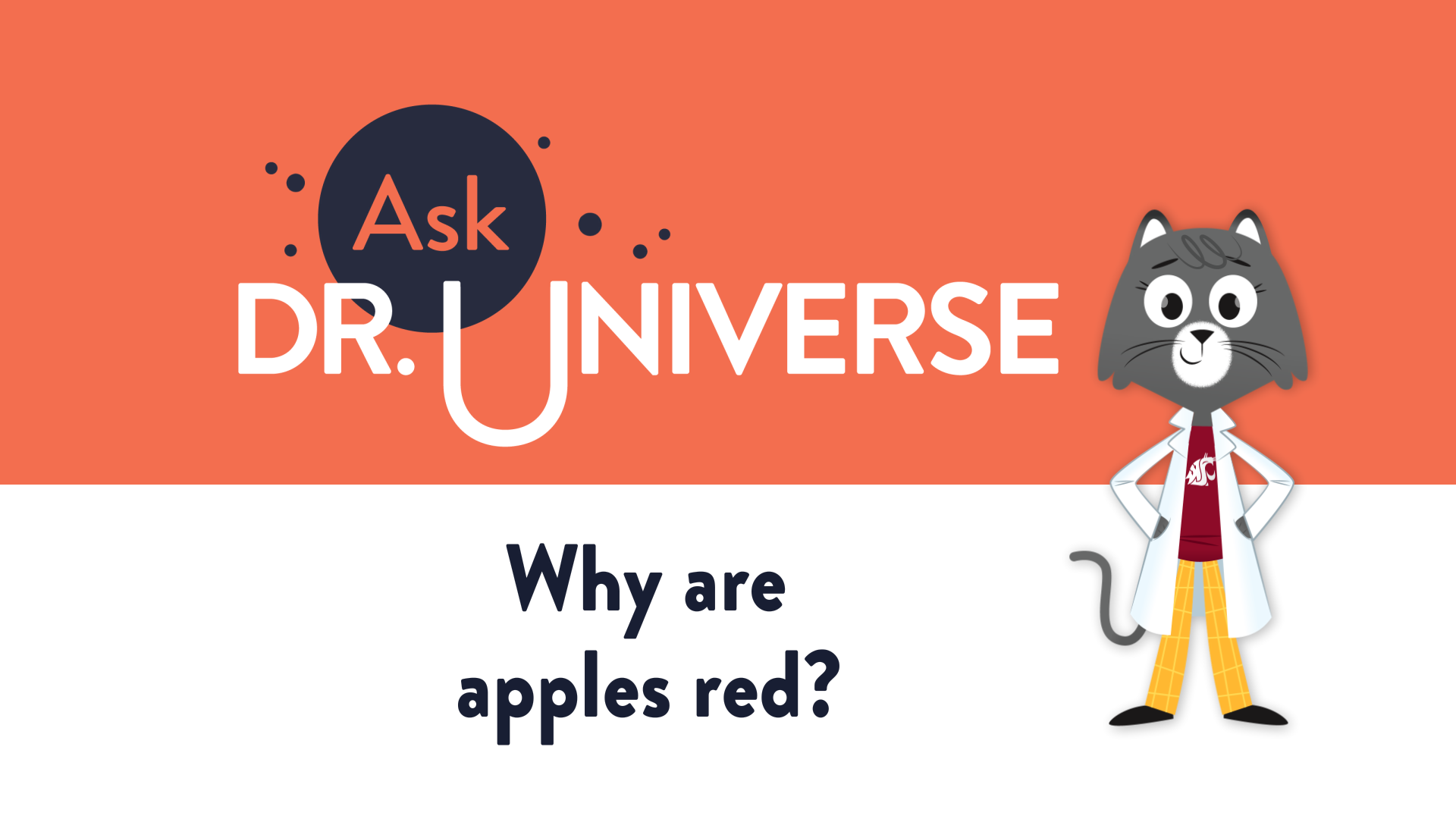 Why are apples red? - Full Screen