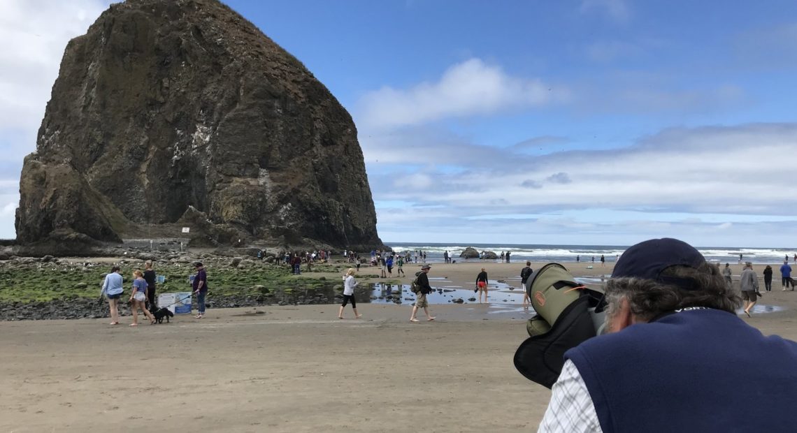 A rocky outcropping on Oregon's coast is home to dozens of rare tufted puffins and, this summer, volunteer Art Broszeit — a de facto expert on the exotic cold climate birds. CREDIT: Kirk Siegler/NPR