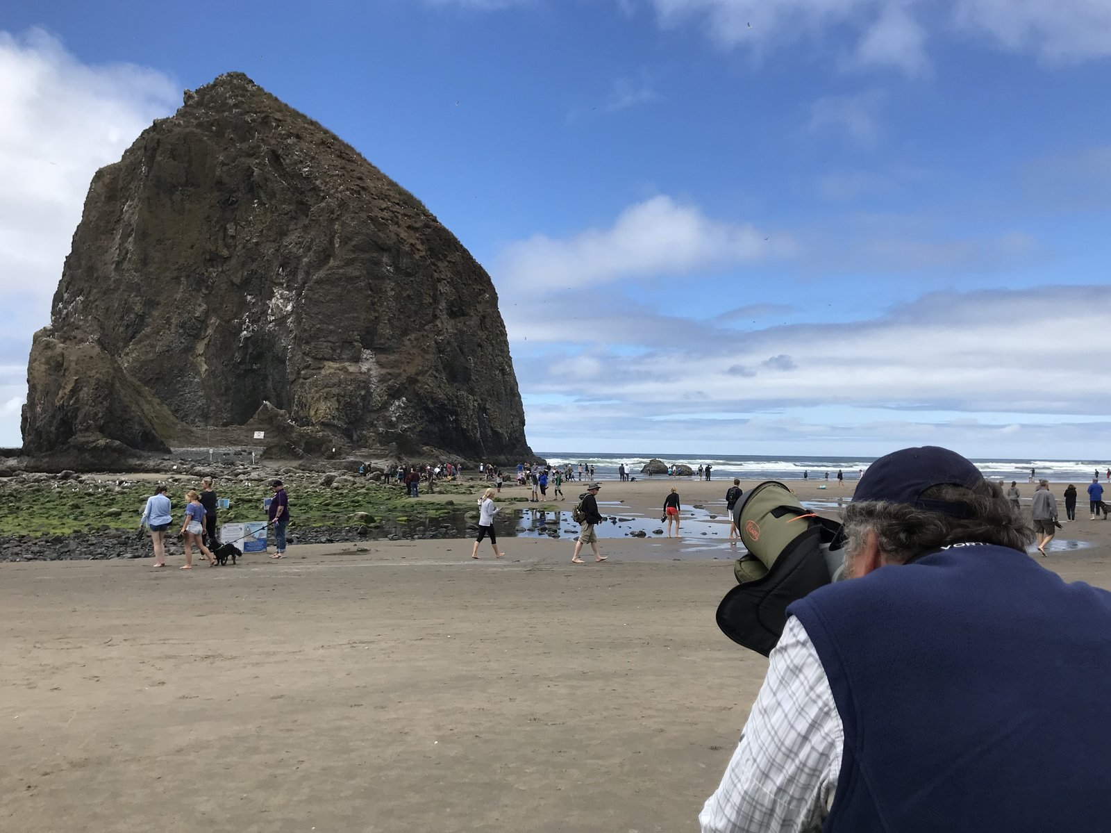 A rocky outcropping on Oregon's coast is home to dozens of rare tufted puffins and, this summer, volunteer Art Broszeit — a de facto expert on the exotic cold climate birds. CREDIT: Kirk Siegler/NPR