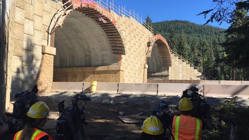 View from ground level Monday of the new wildlife-only overcrossing on I-90 east of Snoqualmie Pass. CREDIT: WSDOT