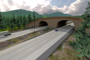 Artist rendering of completed I-90 wildlife bridge. CREDIT: WSDOT