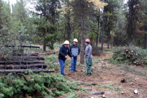 Dave Hannibal of Grayback Forestry, left, discusses the progress of a thinning project with Roy Walker and Susan Bush of the U.S. Forest Service. CREDIT: TOM BANSE