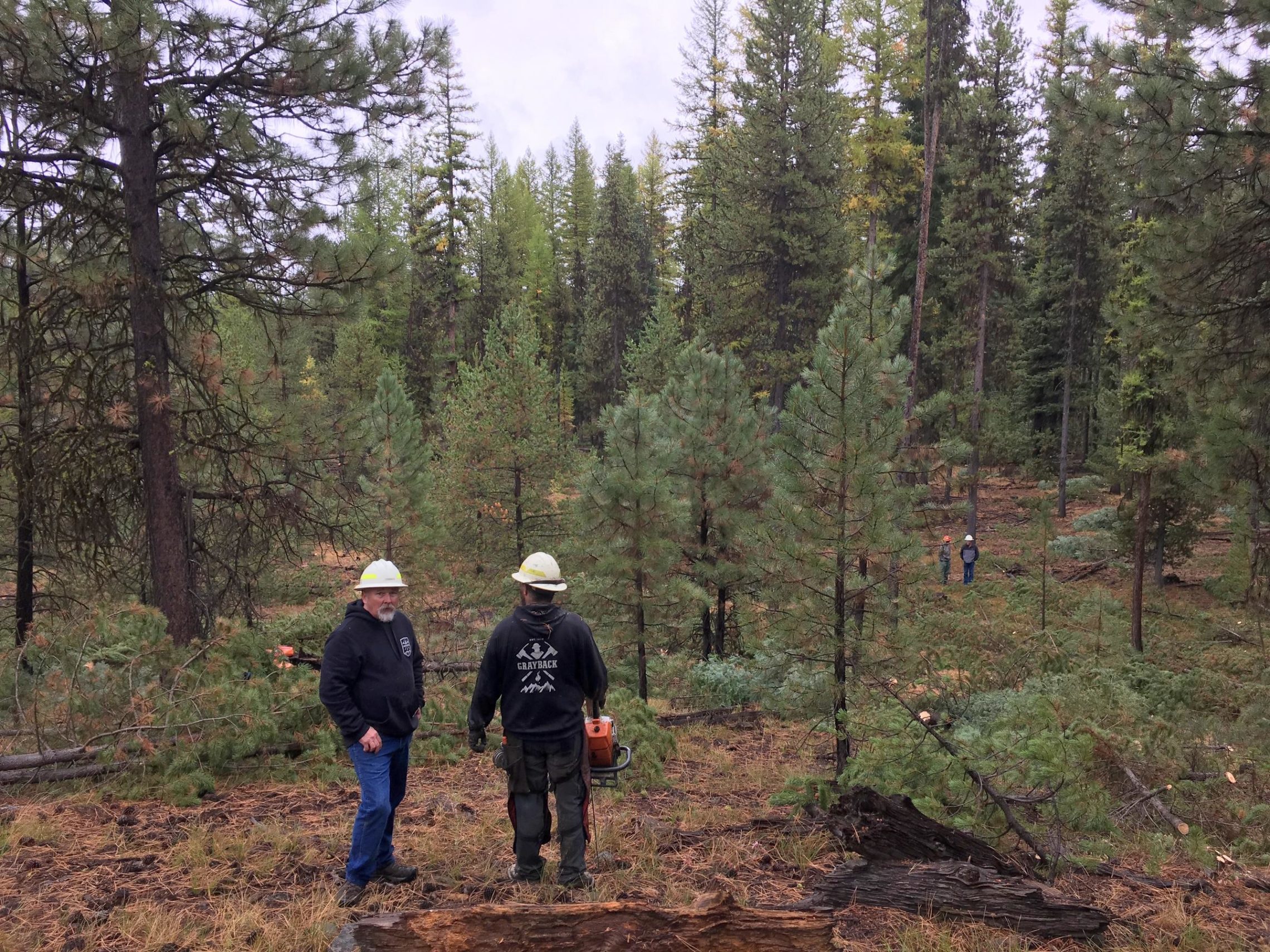 Dave Hannibal and Bob Larkin discuss next steps on a Malheur National Forest thinning and restoration project. CREDIT: TOM BANSE