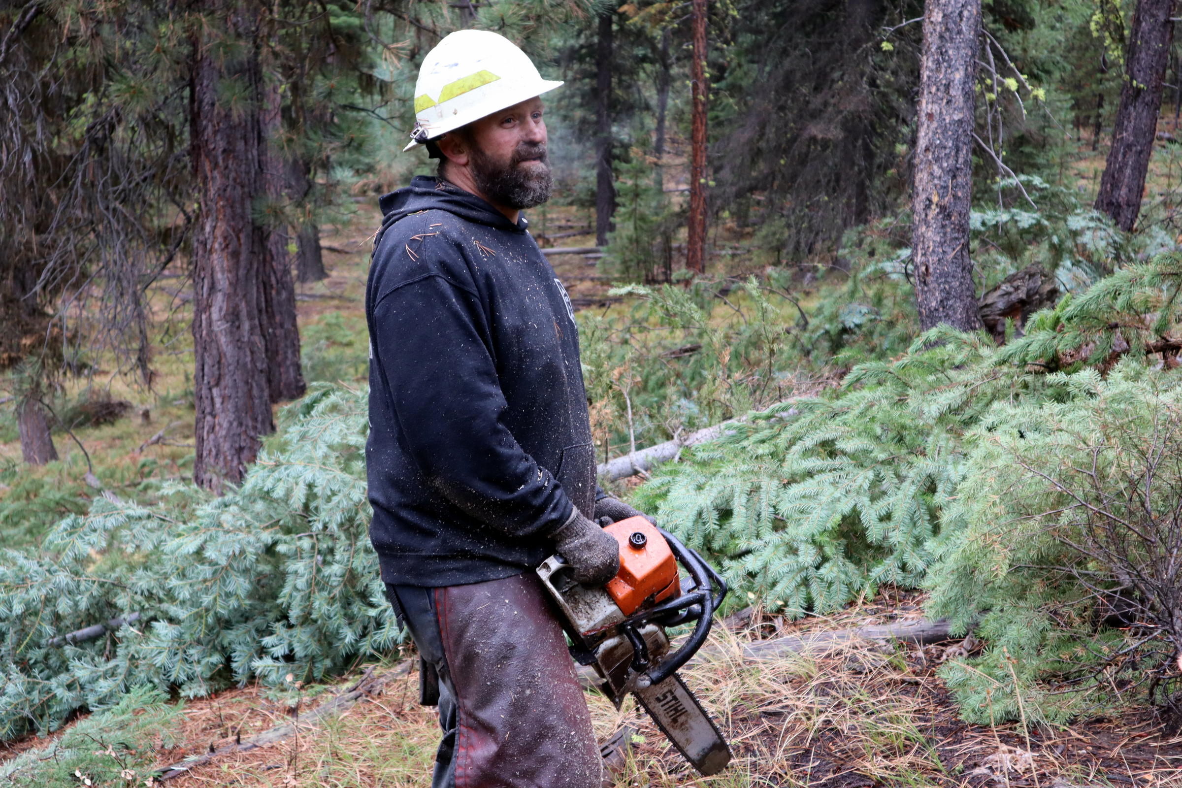 Grayback Forestry crew boss Bob Larkin at work on a thinning project in the Malheur National Forest. CREDIT: TOM BANSE