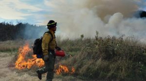 The Karuk Tribe has partnered with other local organizations like the MId Klamath Watershed Council and Klamath River TREX to reintroduce fire to the land with prescribed burns. CREDIT: KLAMATH-SALMON MEDIA COLLABORATIVE