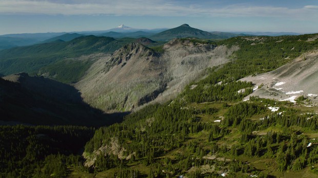 What if a patchy, burned mosaic pattern is the historical state of many Northwest forests? CREDIT: KEVIN FREENY