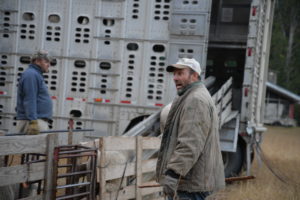 Mark Martinez bellows out, cajoling the sheep up the ladder and into the truck. His brother Nick stands in the background and watches for any stubborn sheep that hold up the line. CREDIT: ESMY JIMENEZ