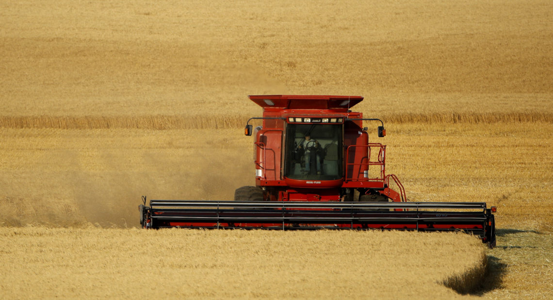 Winter wheat is harvested in a field farmed by Dalton and Carson North near McCracken, Kansas. CREDIT: CHARLIE RIEDEL/AP PHOTO