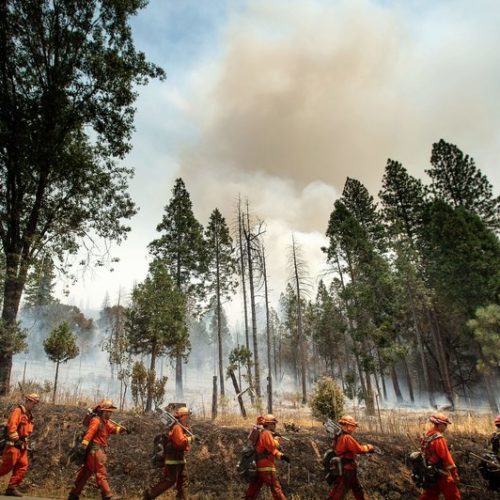 Inmate firefighters battle a California wildfire in July. Qualified inmates can volunteer to be trained in firefighting; in exchange, they are paid $2 a day and an extra $1 per hour when fighting fires. The inmate firefighters also receive sentence reductions. CREDIT: Noah Berger/AFP/Getty Images