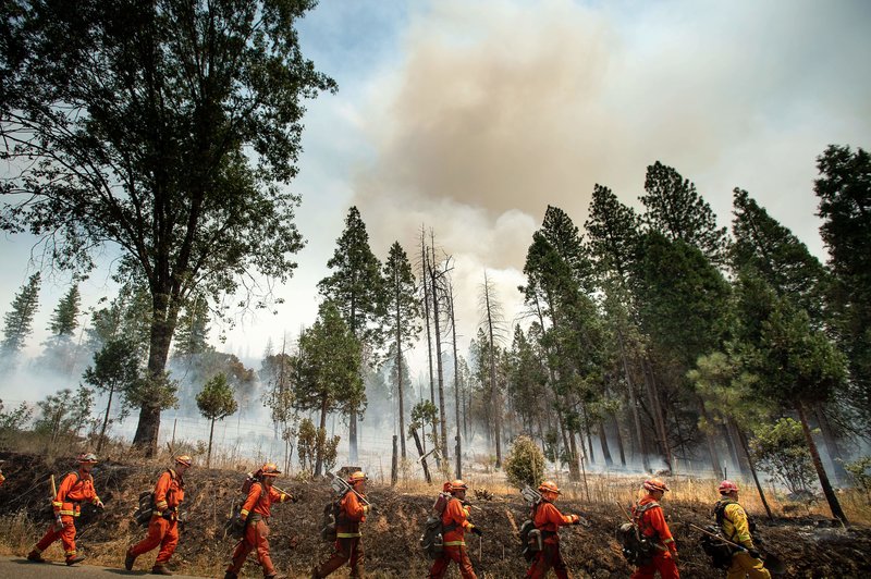Inmate firefighters battle a California wildfire in July. Qualified inmates can volunteer to be trained in firefighting; in exchange, they are paid $2 a day and an extra $1 per hour when fighting fires. The inmate firefighters also receive sentence reductions. CREDIT: Noah Berger/AFP/Getty Images