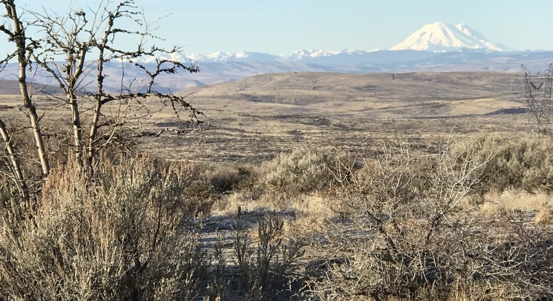 Mount Rainier seen from the Ryegrass area between Vantage and Ellensburg near I-90. CREDIT: RON LARIN via NWPBROADCASTING.TUMBLR.COM