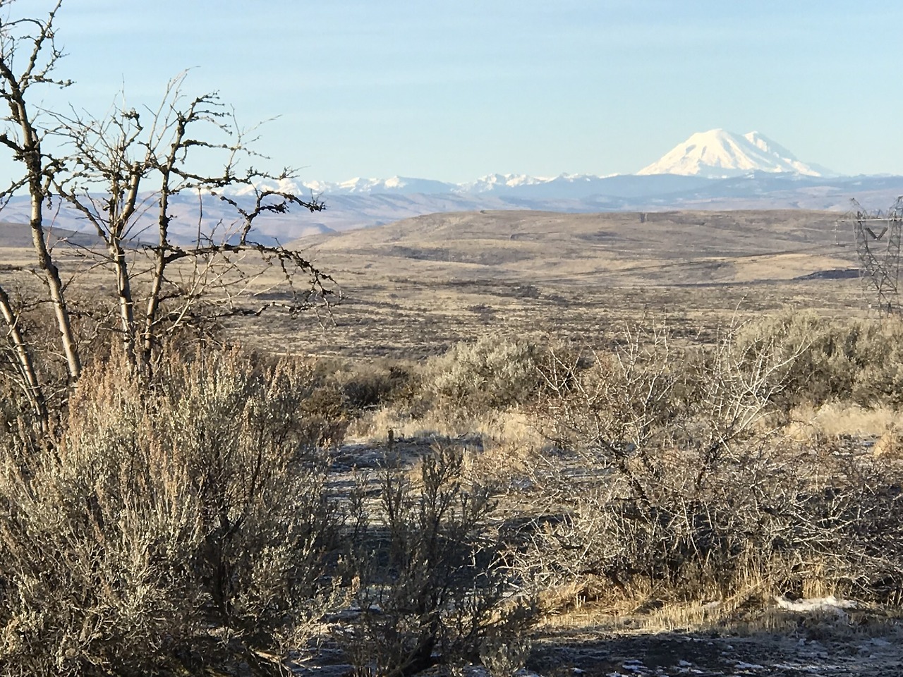 Mount Rainier seen from the Ryegrass area between Vantage and Ellensburg near I-90. CREDIT: RON LARIN via NWPBROADCASTING.TUMBLR.COM