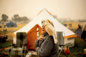 Suzanne Kaksonen and her cockatoo Buddy camp at a makeshift shelter outside a Walmart in Chico, Calif. on Wednesday. Kaksonen, a resident of Paradise, lost her home in the blaze. CREDIT: Noah Berger/AP