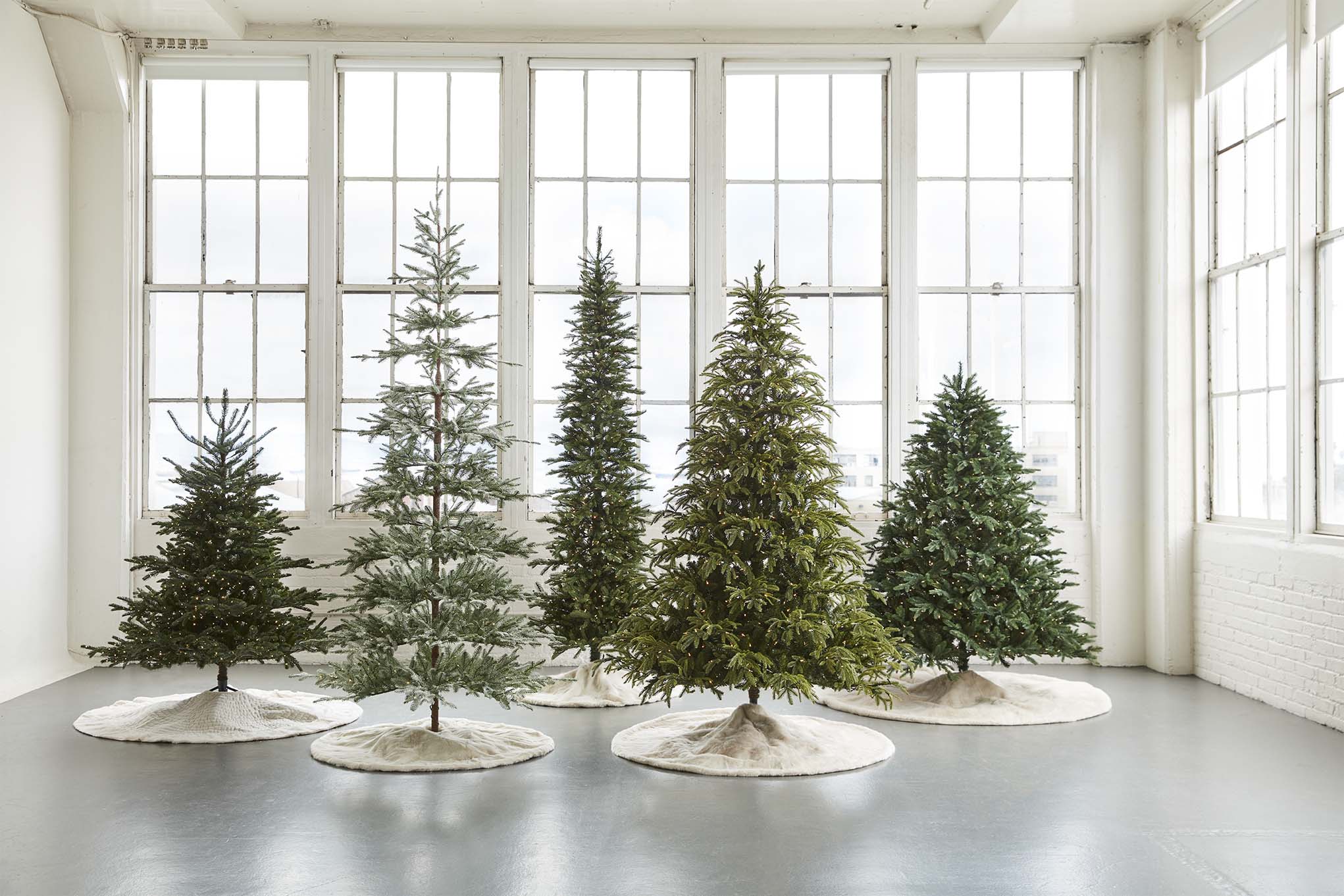 The American Christmas Tree Association, which represents manufacturers and...