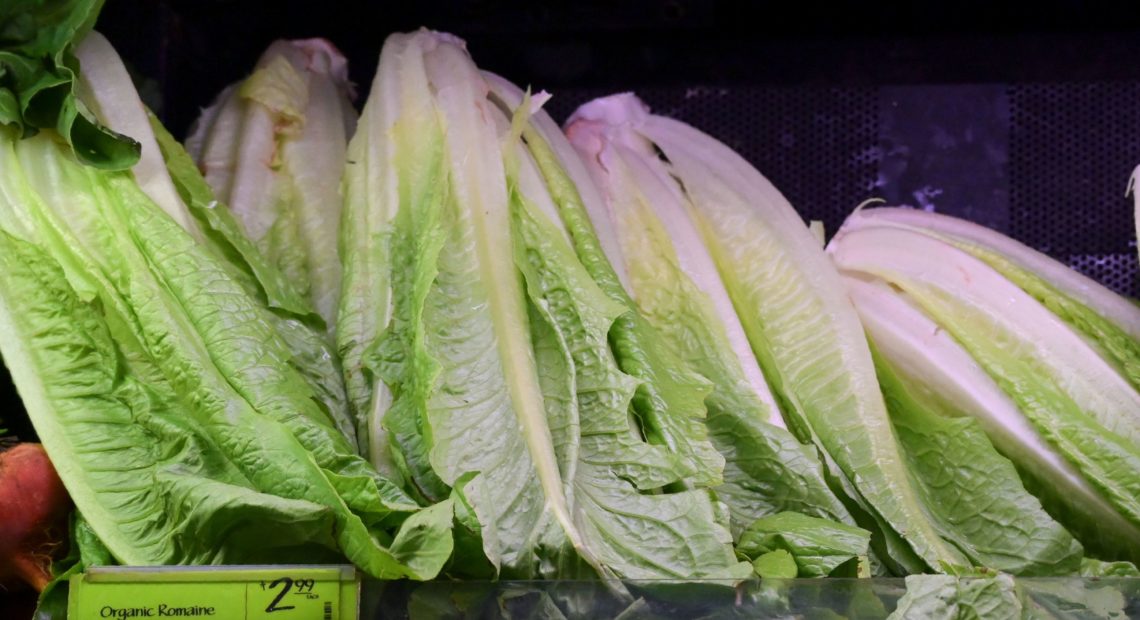 The Centers for Disease Control and Prevention traced an ongoing E. coli outbreak to the Central Coastal region of California. If you're sure your lettuce was grown elsewhere, you can eat it. CREDIT: ANDREW CABALLERO-REYNOLDS/AFP/GETTY IMAGES