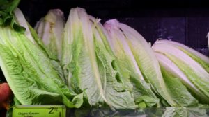 The Centers for Disease Control and Prevention traced an ongoing E. coli outbreak to the Central Coastal region of California. If you're sure your lettuce was grown elsewhere, you can eat it. CREDIT: ANDREW CABALLERO-REYNOLDS/AFP/GETTY IMAGES