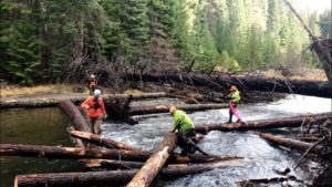 Biologists use pink and blue flagging tape to signal to the helicopter pilots where logs should be placed. There are 1,000 logs to be placed in the Little Naches River. CREDIT: COURTNEY FLATT