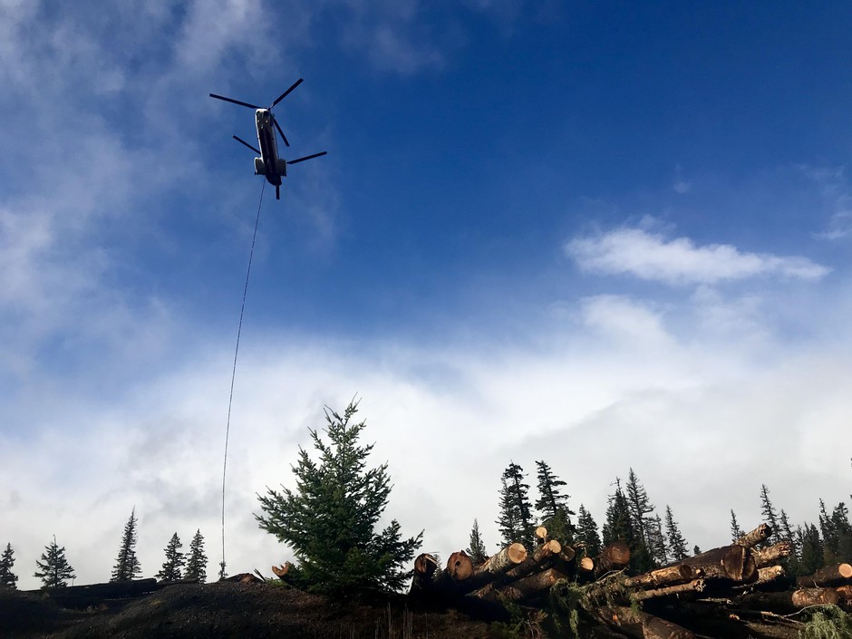 A helicopter is used to fly logs from a staging area to streams that need restoration but are no longer reached by roads. This is the largest stream restoration effort ever in the Northwest. CREDIT: COURTNEY FLATT