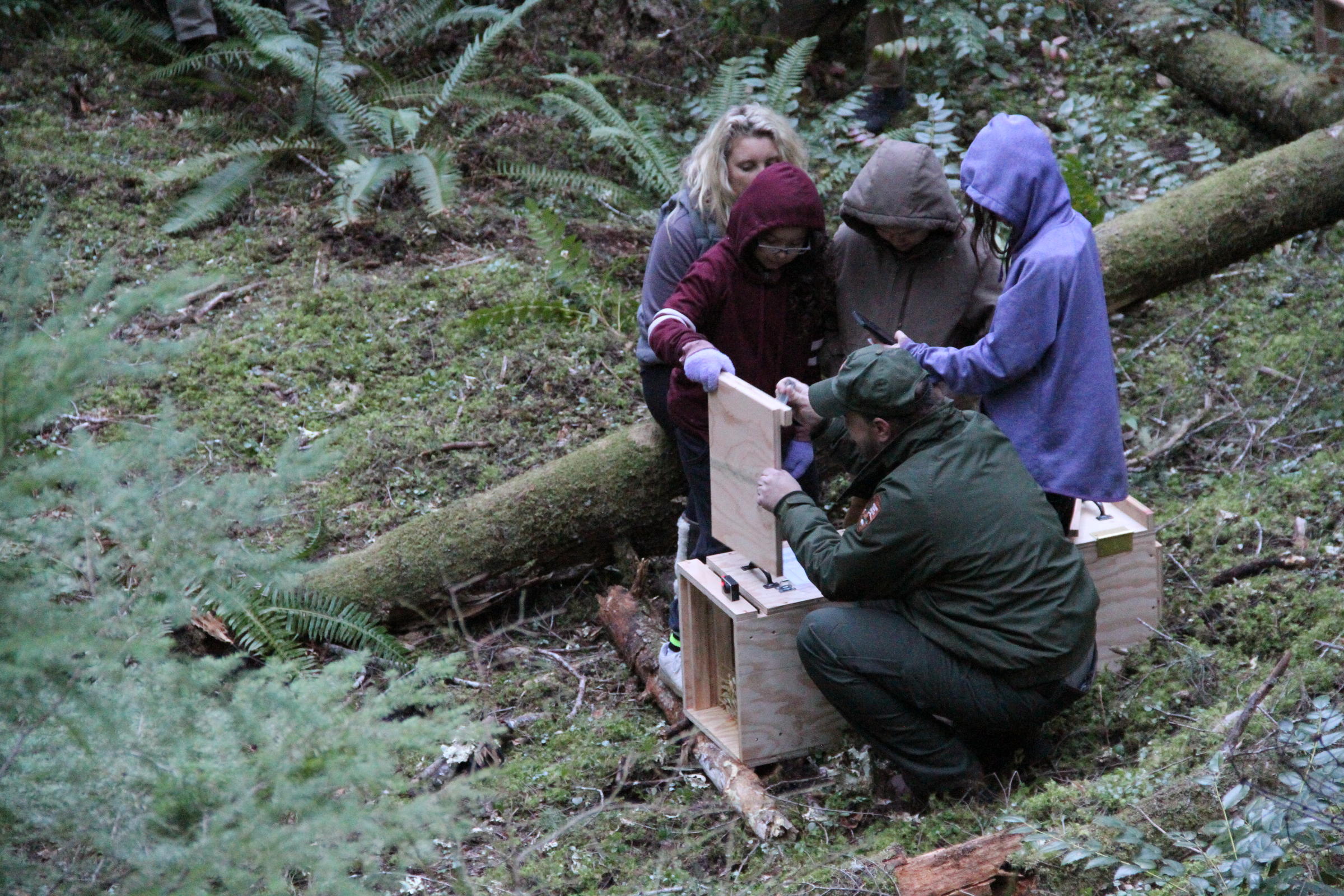 National Park Service biologist Jason Ransom got help on Wednesday from fourth graders to release relocated fishers near Newhalem, Wash. CREDIT: KEIKO BETCHER/ CONSERVATION NW