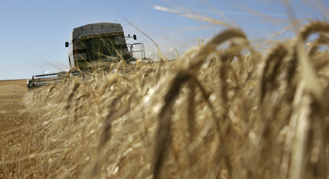 Larry McMillan drives a combine as he harvests barley Friday, Aug. 24, 2007, near Moscow, Idaho. The region's warm and dry weather has provided optimal conditions for the continued harvest season. (AP Photo/Ted S. Warren)