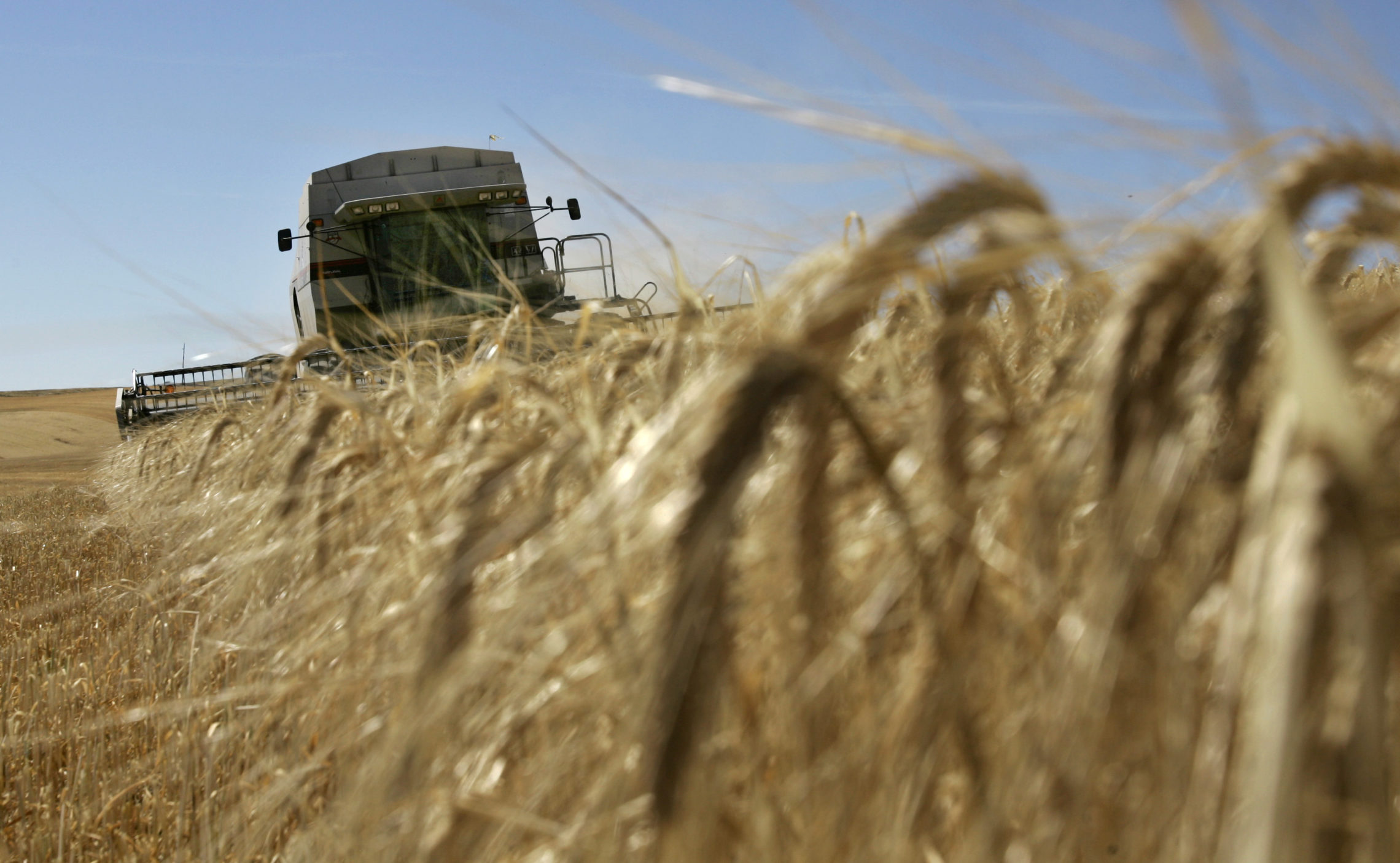 Larry McMillan drives a combine as he harvests barley Friday, Aug. 24, 2007, near Moscow, Idaho. The region's warm and dry weather has provided optimal conditions for the continued harvest season. (AP Photo/Ted S. Warren)