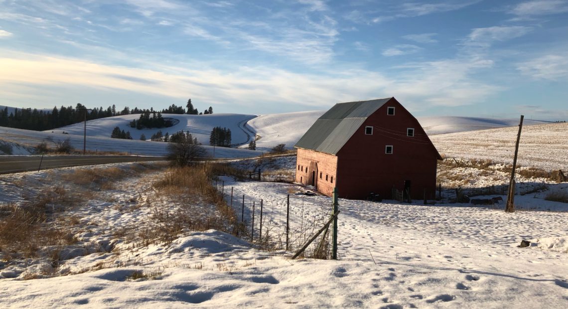 Snow-covered farm fields roll out outside of Kendrick, Idaho. Farmers are stumped on what to plant this coming spring, as many of their traditional dryland crops are priced below the cost of production right now. CREDIT: ANNA KING/N3