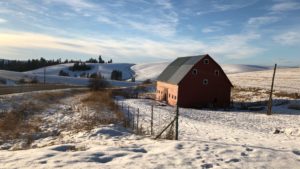 Snow-covered farm fields roll out outside of Kendrick, Idaho. Farmers are stumped on what to plant this coming spring, as many of their traditional dryland crops are priced below the cost of production right now. CREDIT: ANNA KING/N3