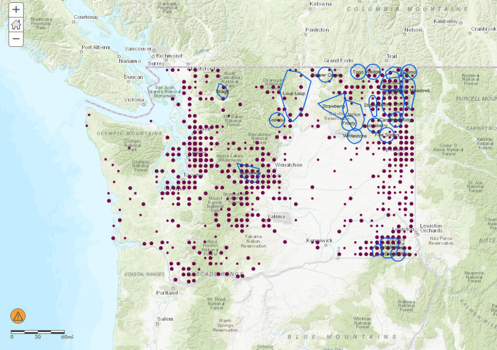 Purple dots represent wolf sightings by the public reported since 2012 to the Washington Department of Fish and Wildlife. Blue lines encircle confirmed wolf packs. CREDIT WDFW
