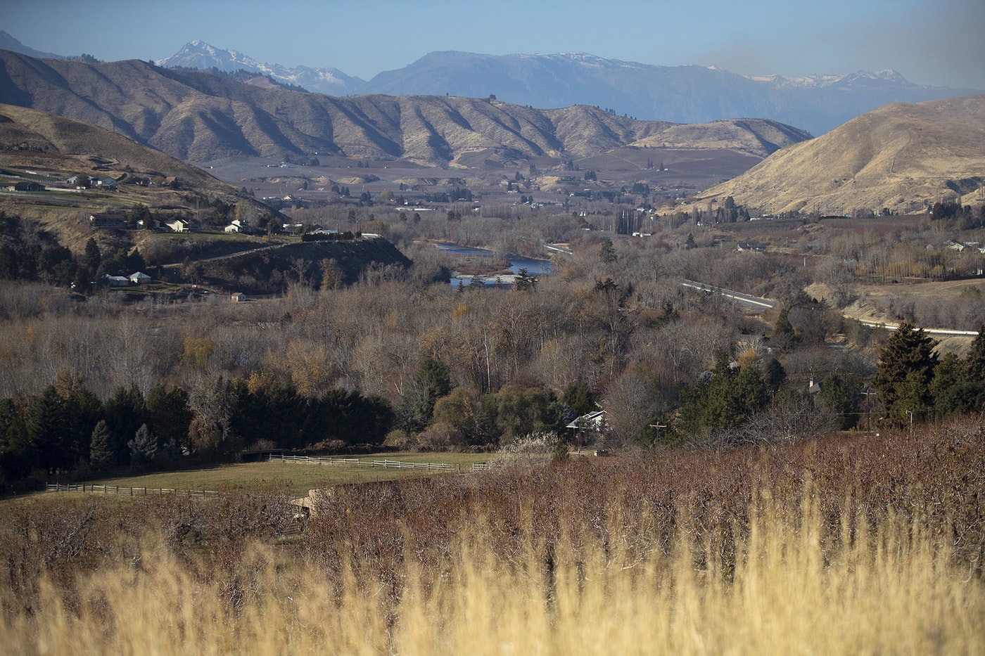 Orchards are shown in the foreground of the Wenatchee Valley on Monday, November 19, 2018, in Wenatchee. KUOW Photo/Megan Farmer CREDIT: KUOW PHOTO/MEGAN FARMER