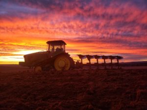 A tractor plows soil where a failed wheat crop once stood on Matt Isgar's ranch and farm in Hesperus, Colo. Isgar is hoping the soil will get enough moisture in coming months so he can plant pinto beans next season. CREDIT: Kami Engstrom/Courtesy of Matt Isgar