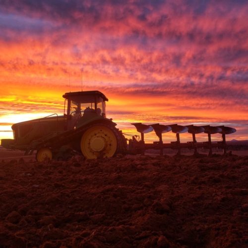 A tractor plows soil where a failed wheat crop once stood on Matt Isgar's ranch and farm in Hesperus, Colo. Isgar is hoping the soil will get enough moisture in coming months so he can plant pinto beans next season. CREDIT: Kami Engstrom/Courtesy of Matt Isgar