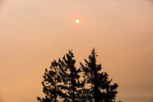 The Eagle Creek Fire as seen from the Bonneville Fish Hatchery, Sunday, Sept. 3, 2017. CREDIT: BRADLEY W. PARKS/OPB