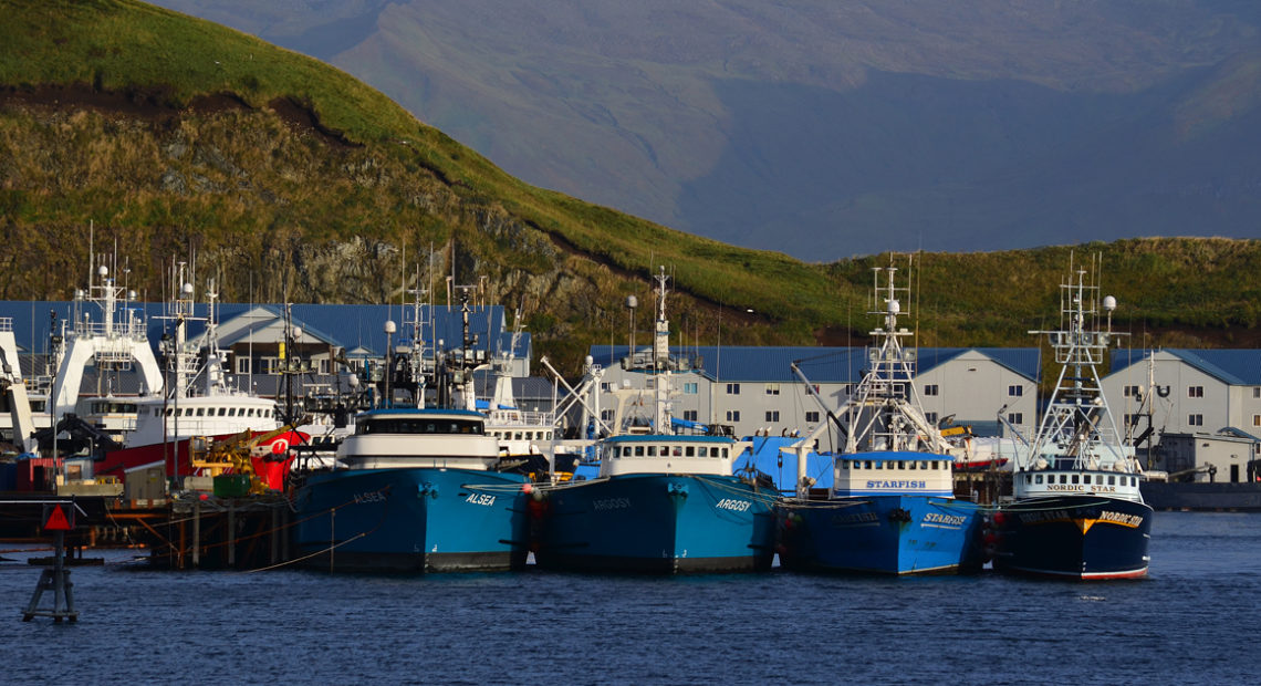 Fishing trawlers lined up in Dutch Harbor, in the Aleutian Islands, Alaska. The Alaska pollock fishery is worth about $750 million each year, and it's scheduled to open Jan. 20. But the heavily regulated industry is facing delays in inspections because of the shutdown. CREDIT: James Brooks/Flickr