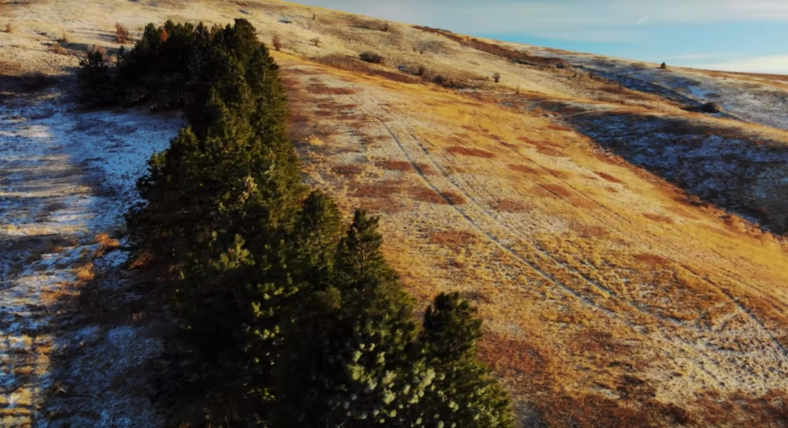 Conversation is happening on the Palouse