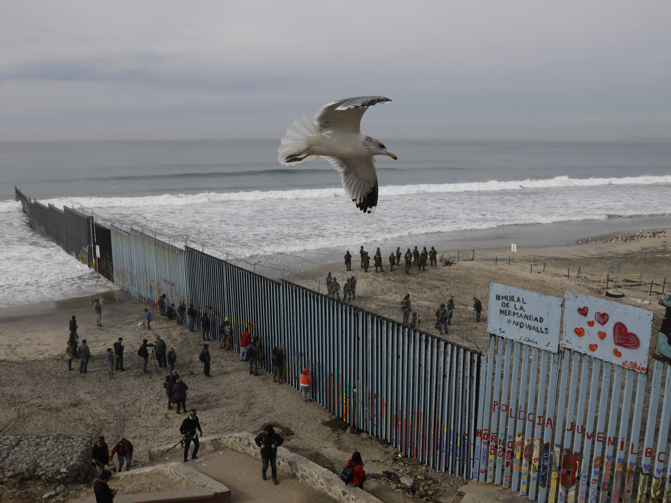 Resultado de imagem para immigrants tijuana