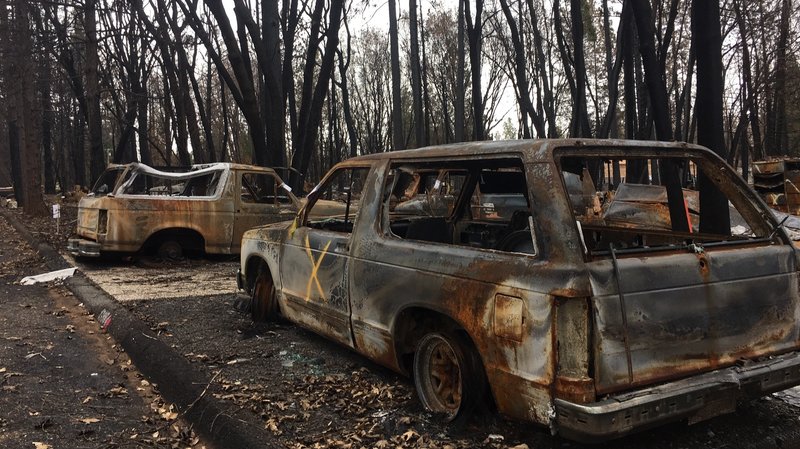 Burned out cars remain stranded in the driveway of a home destroyed by November's Camp Fire. Clean up is just beginning in the town where over 14,000 homes were incinerated. PG&E is under investigation for possibly starting the blaze. CREDIT: ALISA BARBA/NPR