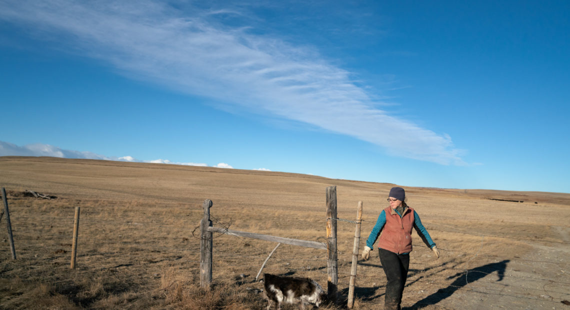 Trina Jo Bradley at the gate to one of her ranch's pastures. Like most ranchers here, she's been largely accommodating of the grizzlies as their population has rebounded and they've spread off of the neighboring mountains into the more populated plains. CREDIT: CLAIRE HARBAGE/NPR