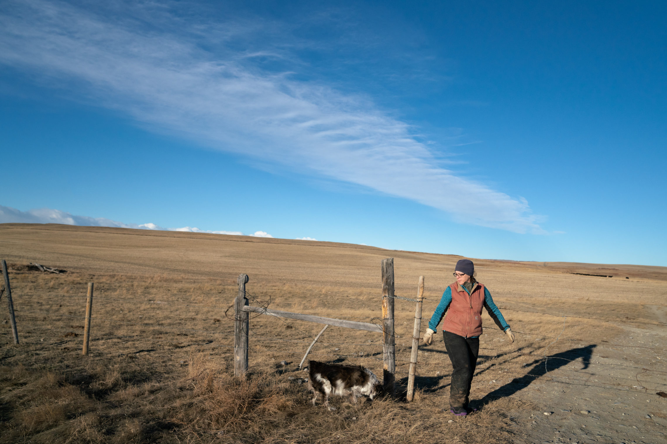 Trina Jo Bradley at the gate to one of her ranch's pastures. Like most ranchers here, she's been largely accommodating of the grizzlies as their population has rebounded and they've spread off of the neighboring mountains into the more populated plains. CREDIT: CLAIRE HARBAGE/NPR