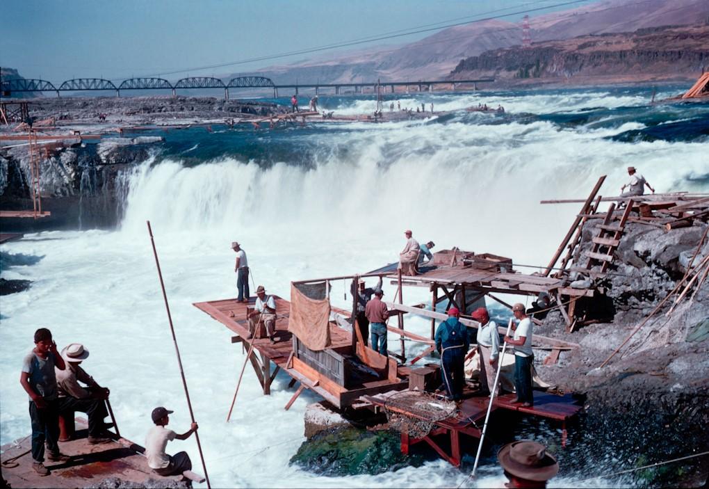 Fishing platforms rimmed Celilo Falls, as in this depiction circa 1949-52. CREDIT: PERCY KRAMER