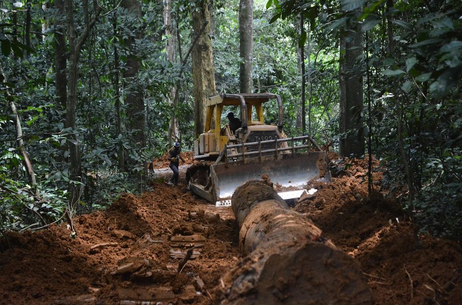A bulldozer opening a secondary logging road in a tropical rainforest in Gabon. CREDIT: EIA